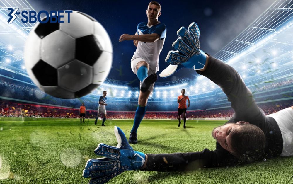 วิธี ดู ราคา บอล